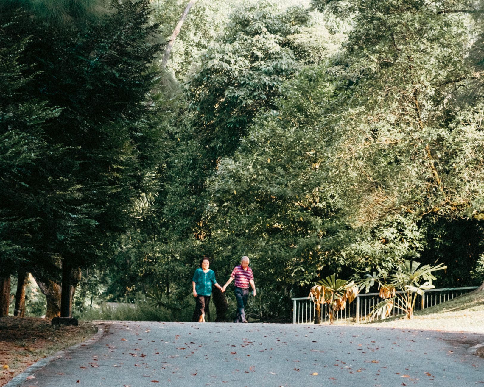 Couple marchant à un rythme tranquille sur un chemin extérieur pour reprendre progressivement la marche avec une sciatique