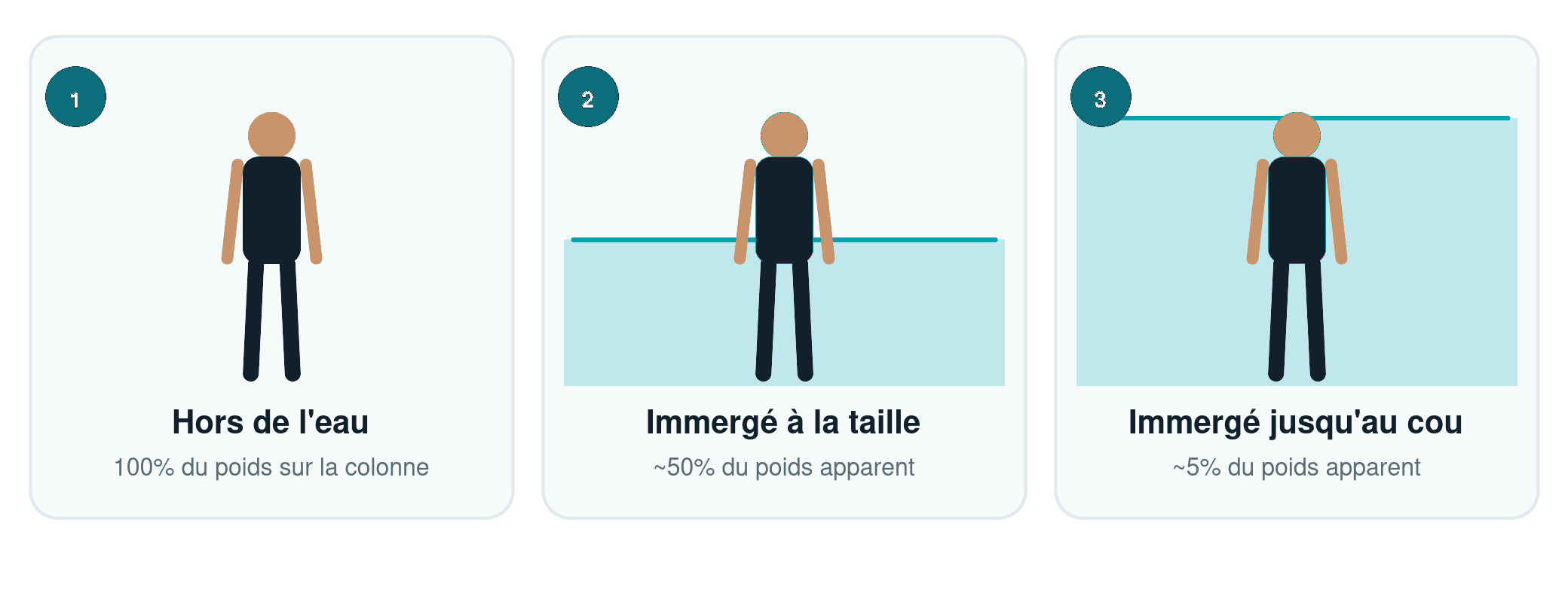 Schéma du poids apparent du corps selon le niveau d'immersion : hors de l'eau 100% du poids sur la colonne, immergé à la taille environ 50% du poids apparent, immergé jusqu'au cou environ 5% du poids apparent