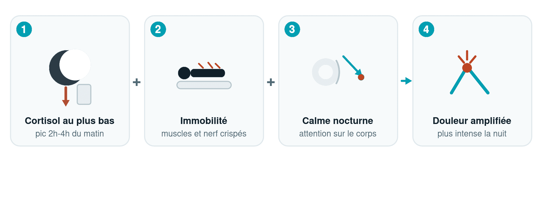 Schéma des 3 facteurs qui expliquent pourquoi la sciatique fait plus mal la nuit : chute du cortisol, immobilité prolongée et calme nocturne qui amplifie la perception de la douleur
