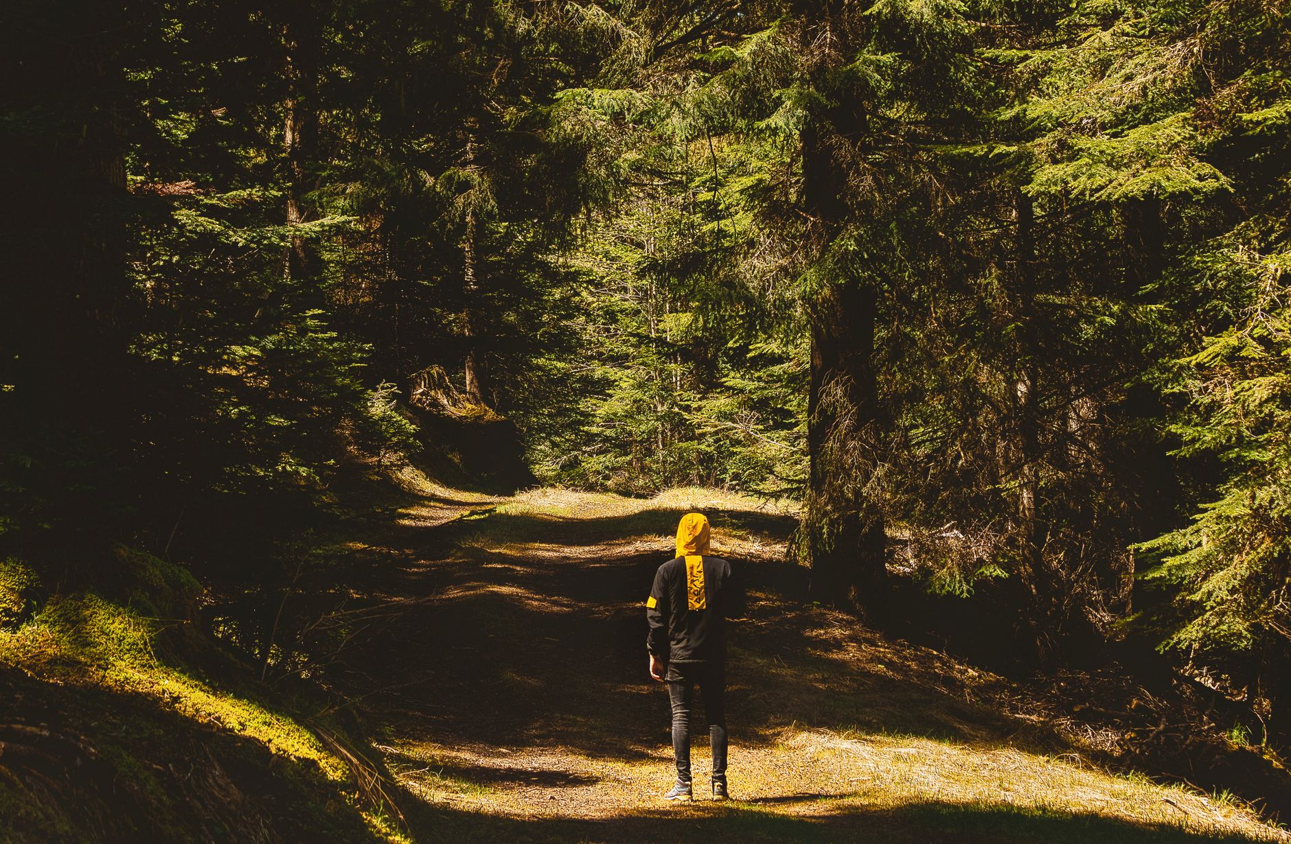 Personne marchant seule sur un sentier forestier ensoleillé, illustrant la reprise de la marche avec une sciatique